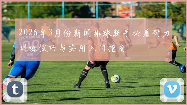 2026年3月份新闻排球新手必看耐力训练技巧与实用入门指南