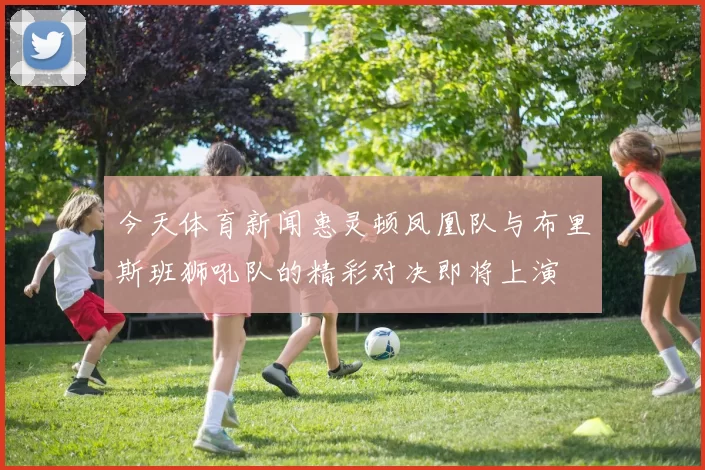 今天体育新闻惠灵顿凤凰队与布里斯班狮吼队的精彩对决即将上演